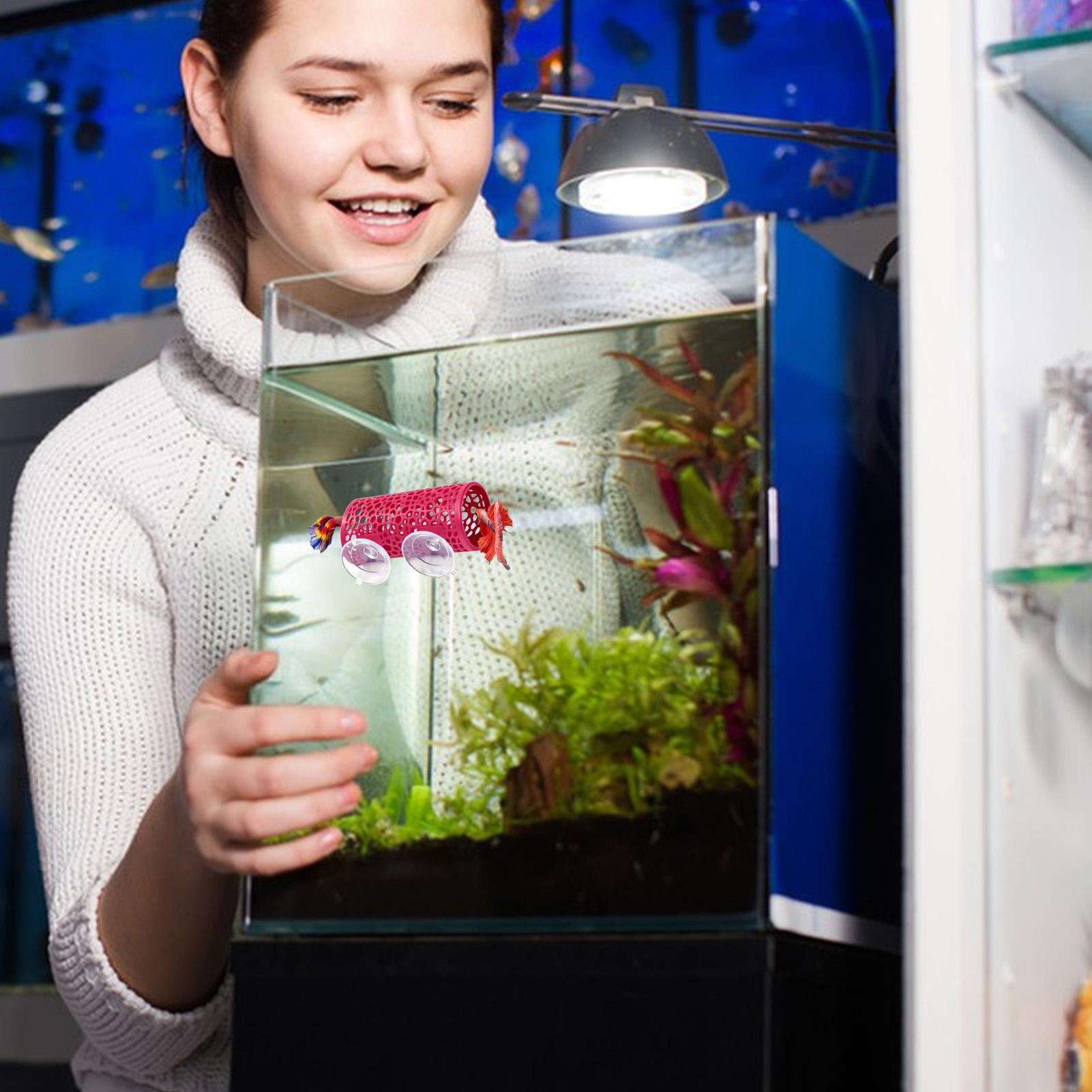 Aquarium Fish Real - Betta Habitat Resting Shelter Ornament Fish