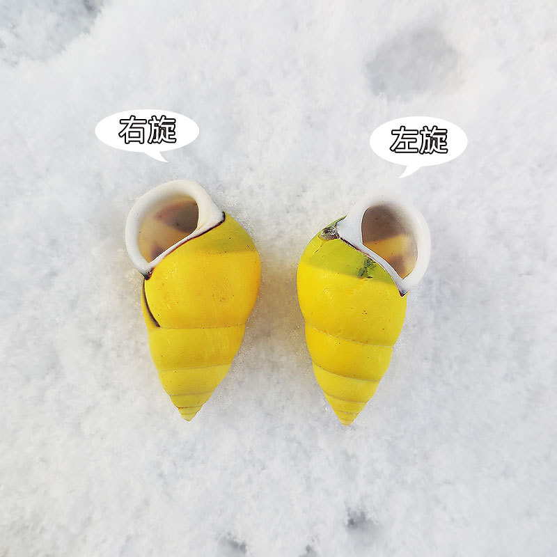 Aquarium Fish Yellow - Rare Trochus Shell Aquarium Ornament, Yellow