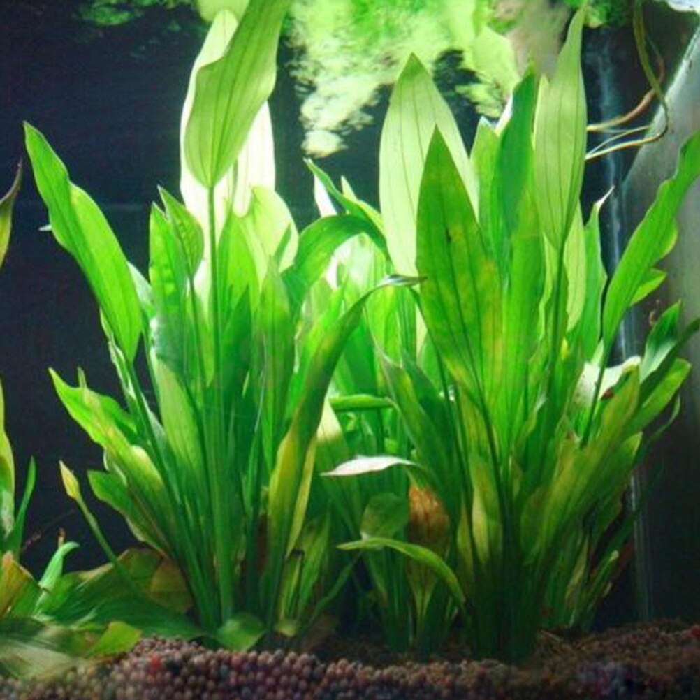 Aquarium Fish Artificial - 15cm Artificial Aquarium Decor Plants Water