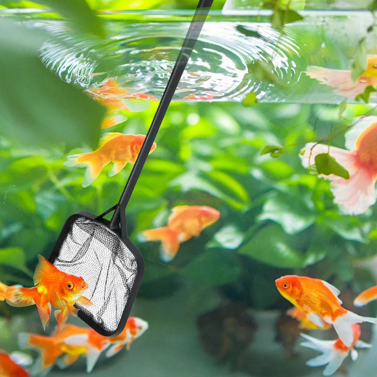 Pool Nets for Cleaning Portabl - Aquarium Fish Real review and price