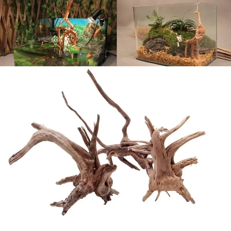 Natural Tree Trunk Driftwood A - Aquarium Fish Diseases review and price
