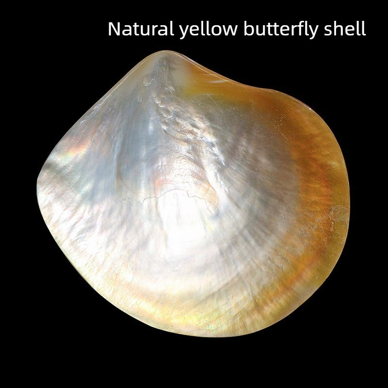 Natural Yellow Butterfly Beibe - Aquarium Fish Yellow review and price