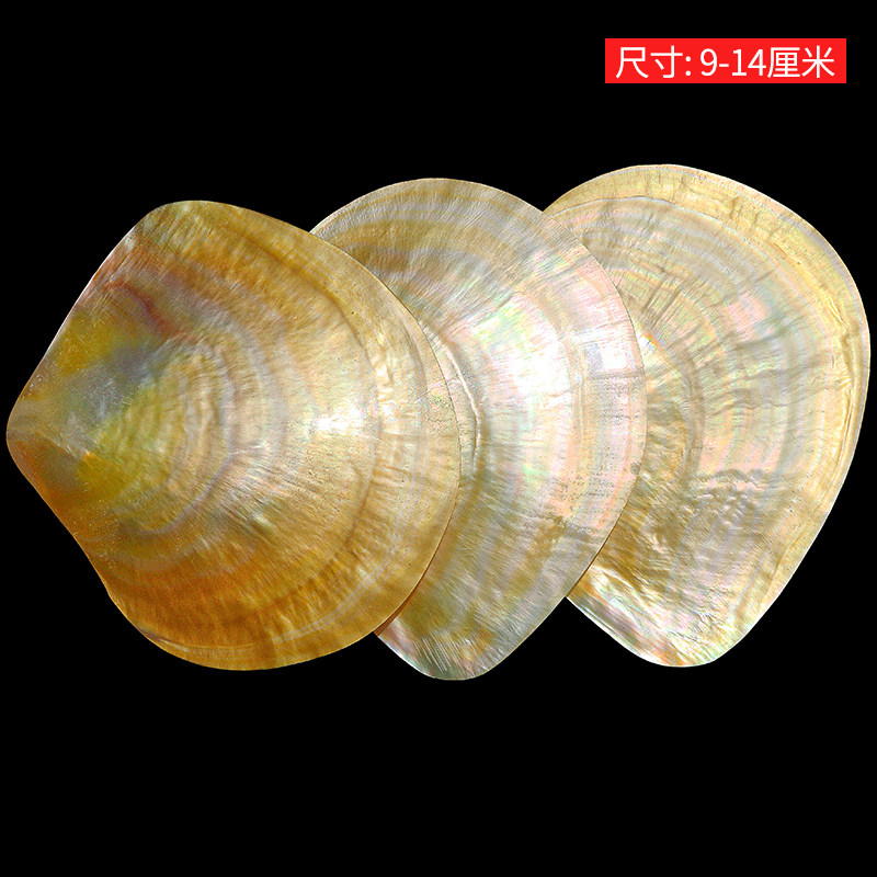 Natural Yellow Butterfly Beibe - Aquarium Fish Yellow review and price