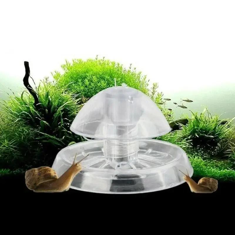 2026 New 6/8CM Clear Plastic S - Aquarium Fish Real review and price