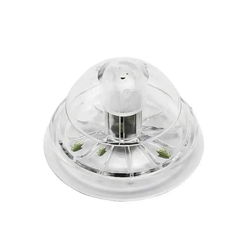 2026 New 6/8CM Clear Plastic S - Aquarium Fish Real review and price