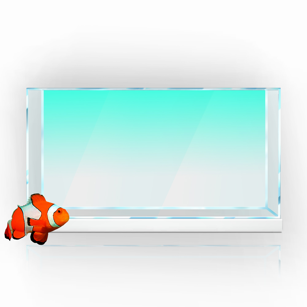 Fish Tank Background Sticker W - Aquarium Fish Yellow review and price