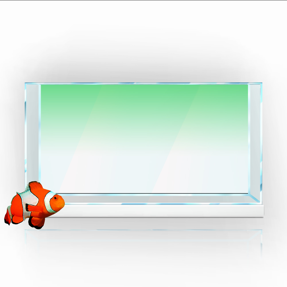 Fish Tank Background Sticker W - Aquarium Fish Yellow review and price