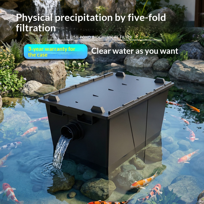 Aquarium, fish pond, square pl - Aquarium Fish Koi review and price