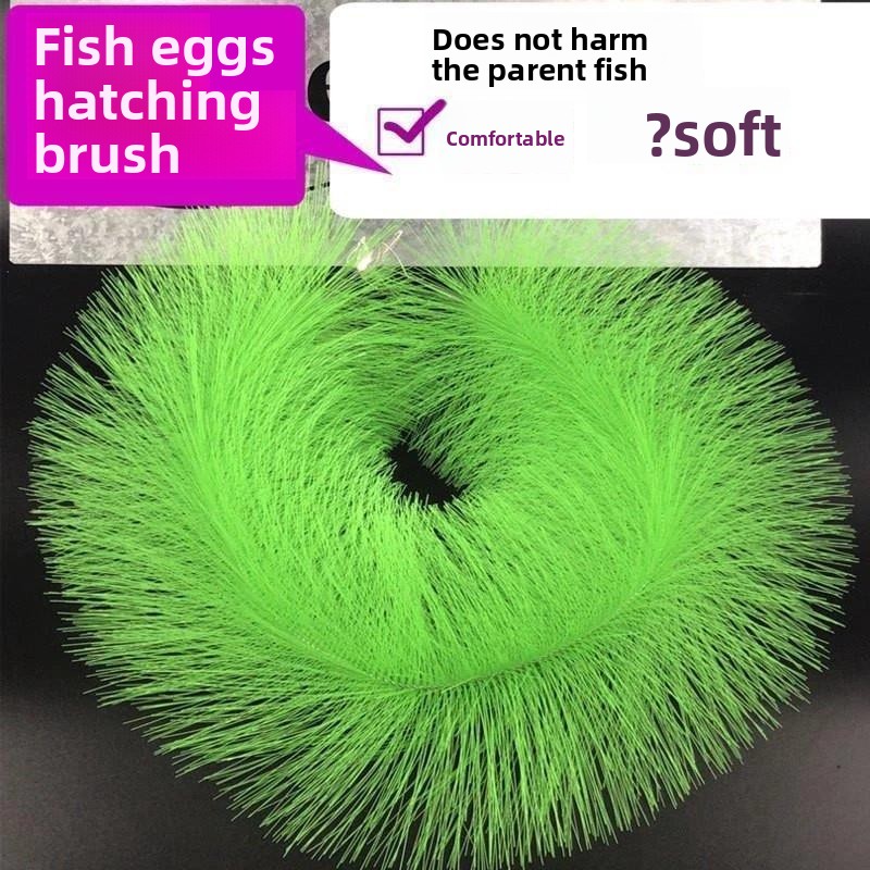 Breeding Grass for Koi Fish Eg - Aquarium Fish Koi review and price