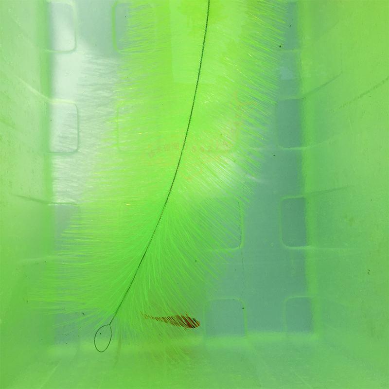 Breeding Grass for Koi Fish Eg - Aquarium Fish Koi review and price