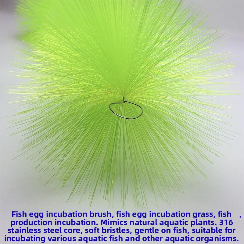 Breeding Grass for Koi Fish Eg - Aquarium Fish Koi review and price
