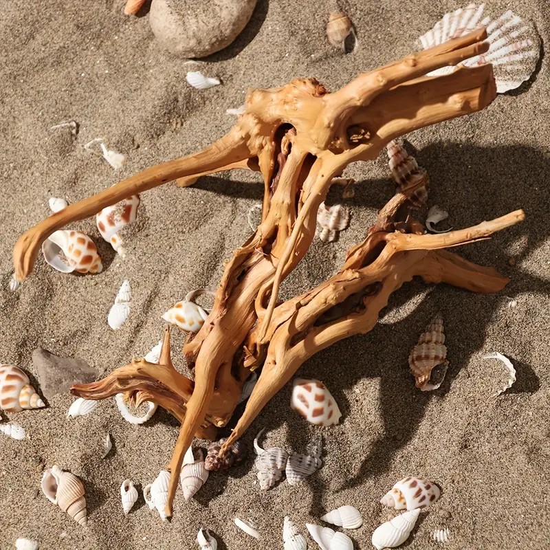 7-26CM 4 Sizes Driftwood Cucko - Aquarium Fish Diseases review and price