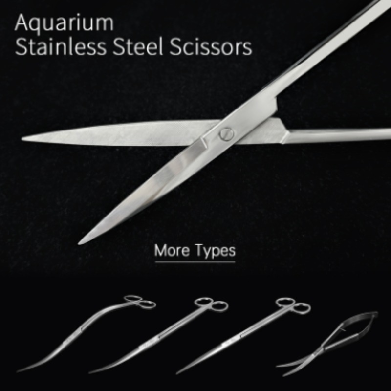 Week Aqua Stainless Steel Aqua - Aquarium Fish Store review and price