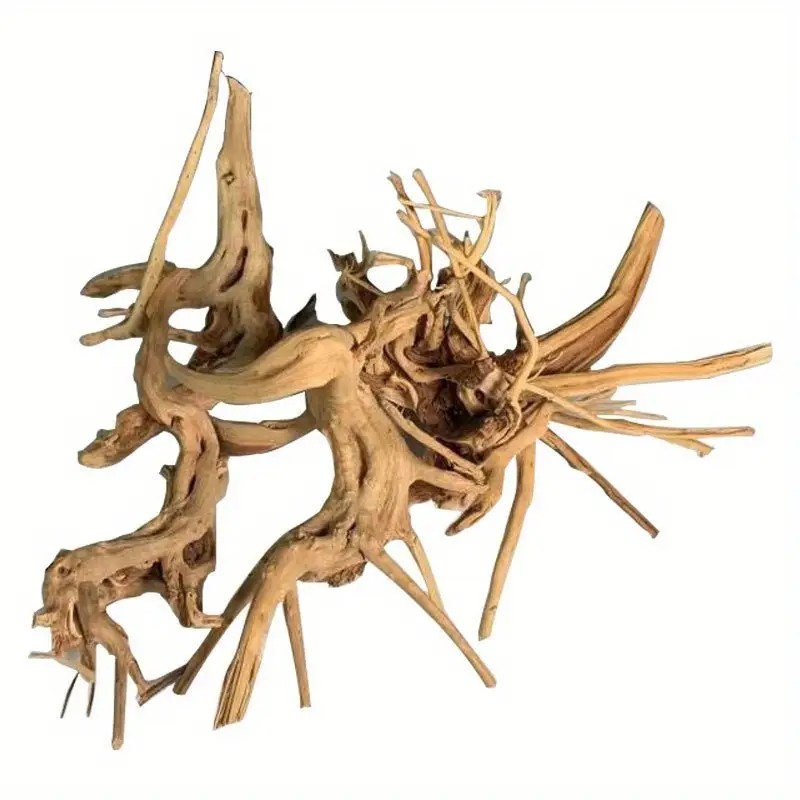 1/2PCS Natural Rhododendron Ro - Aquarium Fish Real review and price