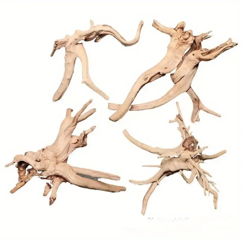 1/2PCS Natural Rhododendron Ro - Aquarium Fish Real review and price