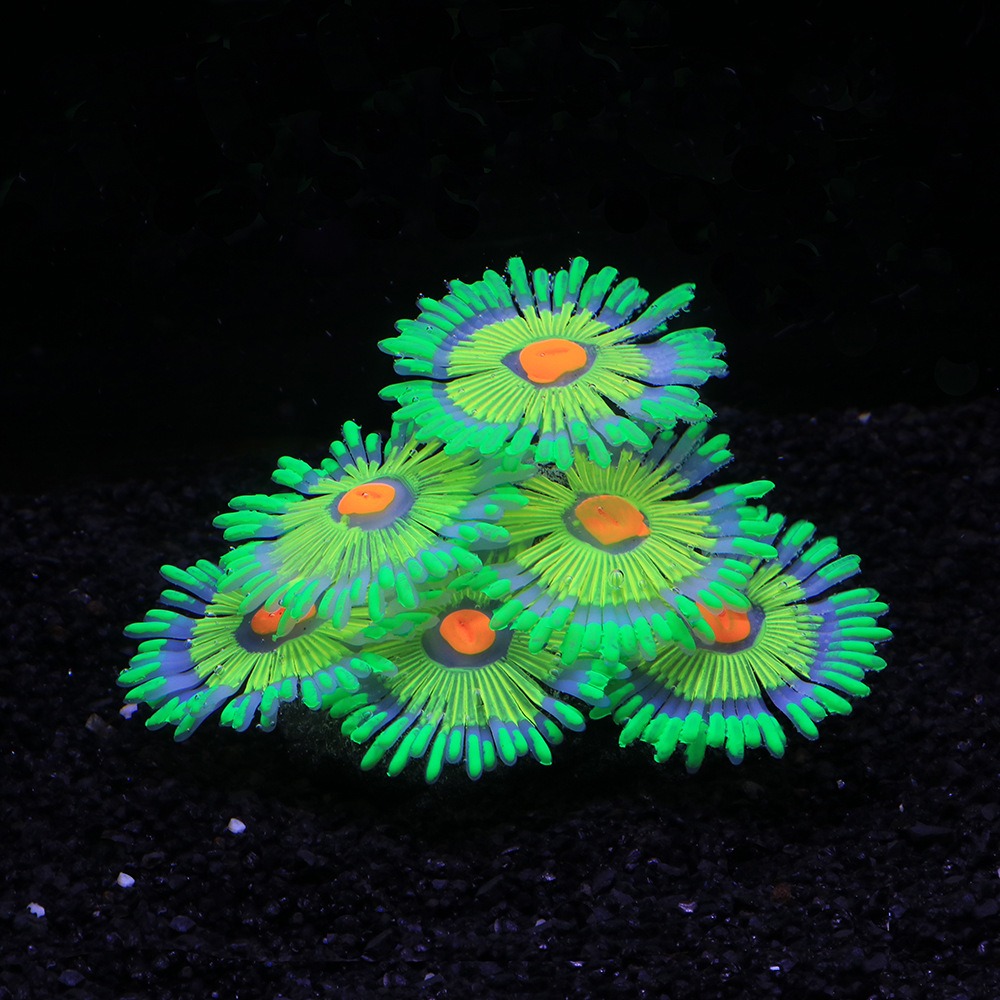 Glowing Soft Aquarium Fish Tan - Aquarium Fish Artificial review and price