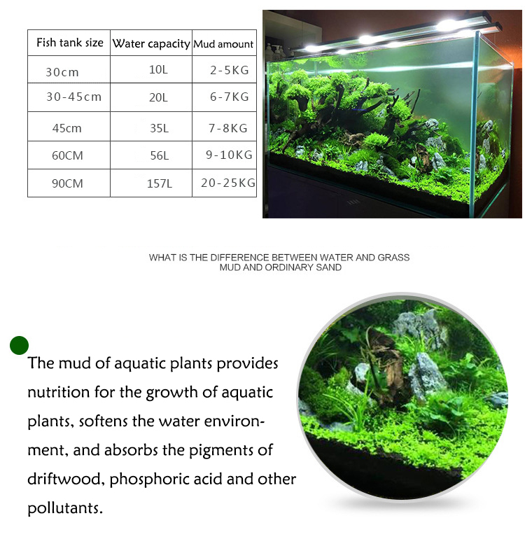 Aquarium Plant Seeds Soil Fish - Aquarium Fish Store review and price