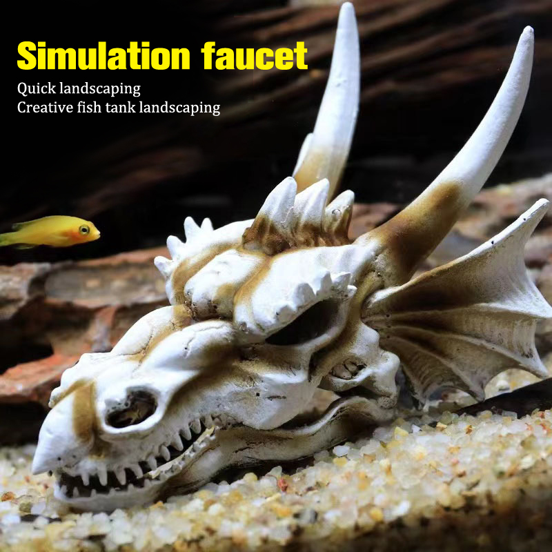 Dinosaur Skull Model Velocirap - Aquarium Fish Diseases review and price