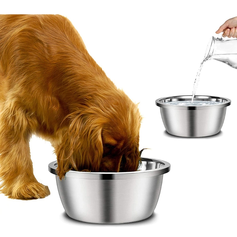 A Stainless Steel Dog Feeders  - Royal Canin Food Medium review and price
