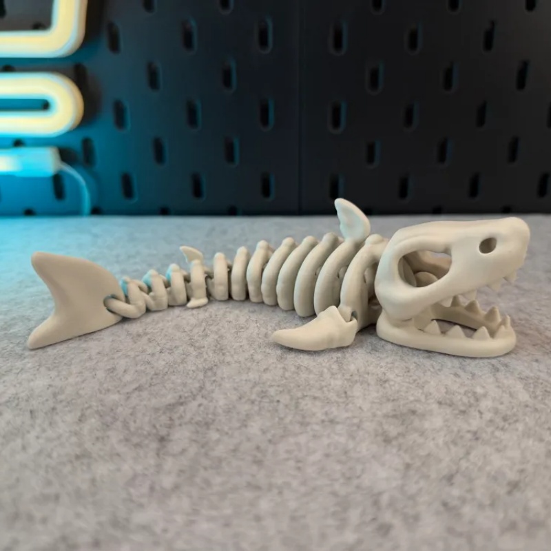 17cm Shark Skeleton In Water A - Aquarium Fish Shark review and price