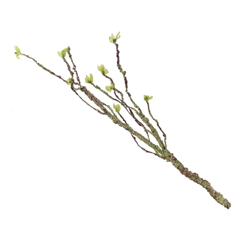 Vines Decor Climbing Branches  - Aquarium Fish Real review and price