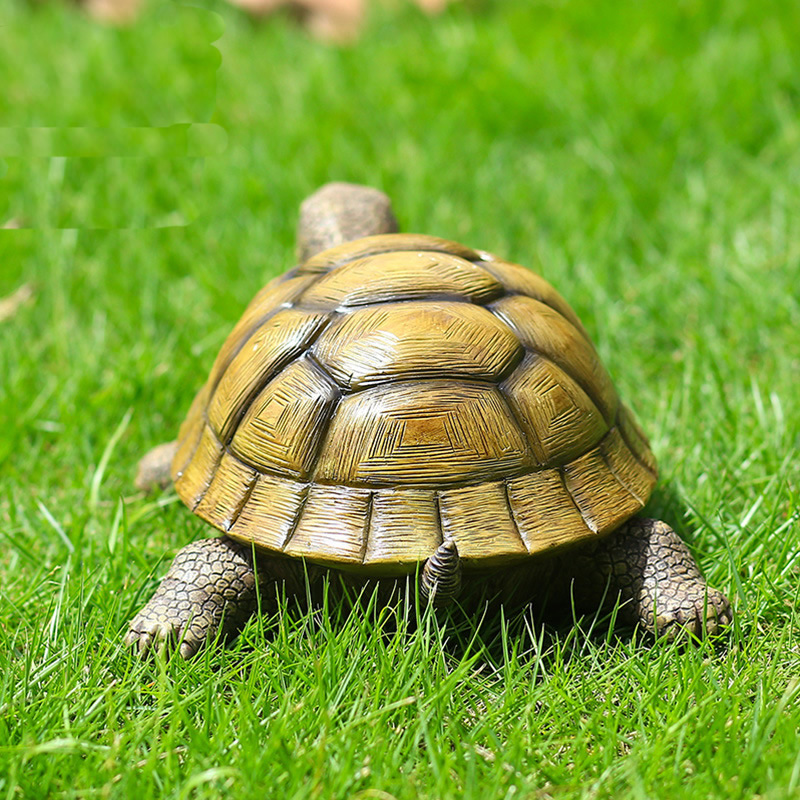 Cute Decorative Turtle Resin T - Aquarium Fish Saltwater review and price