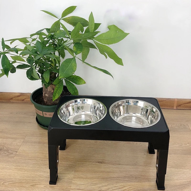 Adjustable Elevated Dog Feeder - Royal Canin Food Medium review and price